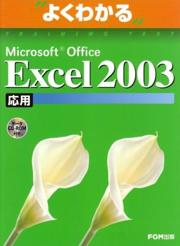 よくわかる Excel 2003 応用